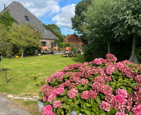Maaike your local tourguide  wearing Dutch wooden shoes. Windmill, Tulips, Cheese, Zaanse Schans, Keukenhof, Volendam, Marken, Alkmaar.