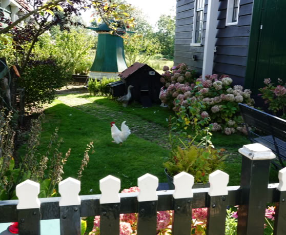 Maaike your local tourguide  wearing Dutch wooden shoes. Windmill, Tulips, Cheese, Zaanse Schans, Keukenhof, Volendam, Marken, Alkmaar.