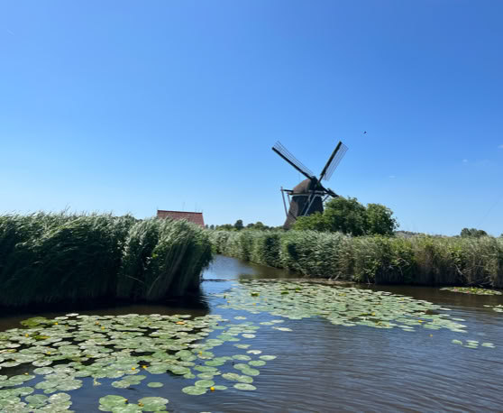 Maaike your local tourguide  wearing Dutch wooden shoes. Windmill, Tulips, Cheese, Zaanse Schans, Keukenhof, Volendam, Marken, Alkmaar.