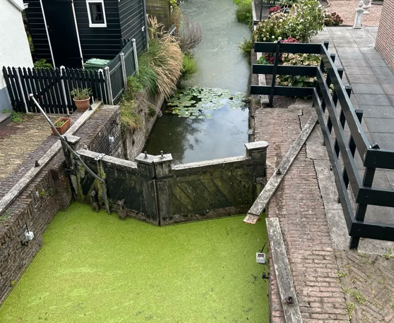 Maaike your local tourguide  wearing Dutch wooden shoes. Windmill, Tulips, Cheese, Zaanse Schans, Keukenhof, Volendam, Marken, Alkmaar.