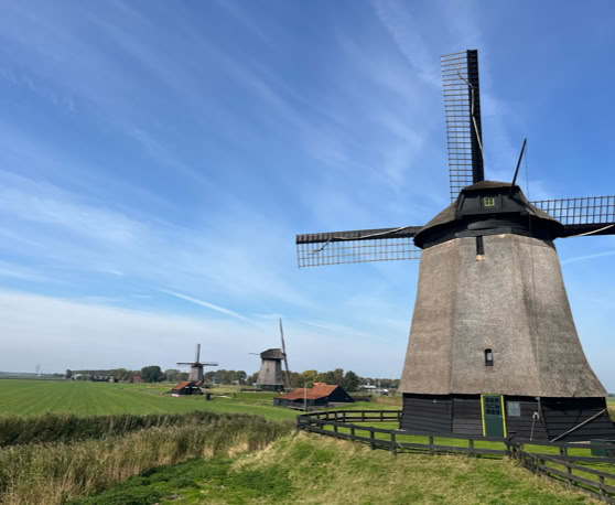 Maaike your local tourguide  wearing Dutch wooden shoes. Windmill, Tulips, Cheese, Zaanse Schans, Keukenhof, Volendam, Marken, Alkmaar.