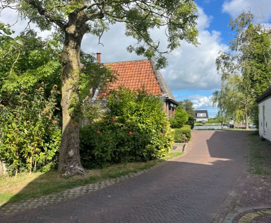 Maaike your local tourguide  wearing Dutch wooden shoes. Windmill, Tulips, Cheese, Zaanse Schans, Keukenhof, Volendam, Marken, Alkmaar.