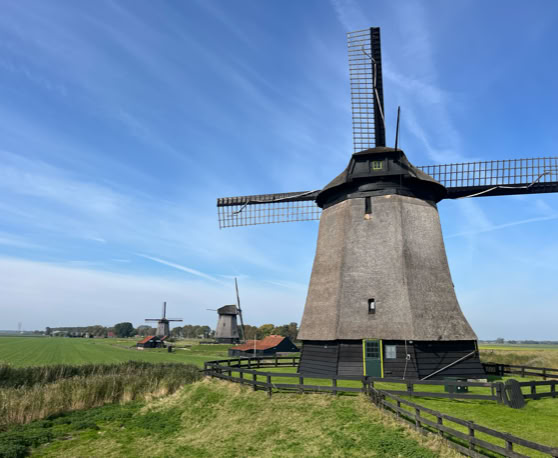 Maaike your local tourguide  wearing Dutch wooden shoes. Windmill, Tulips, Cheese, Zaanse Schans, Keukenhof, Volendam, Marken, Alkmaar.