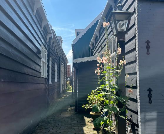 Maaike your local tourguide  wearing Dutch wooden shoes. Windmill, Tulips, Cheese, Zaanse Schans, Keukenhof, Volendam, Marken, Alkmaar.