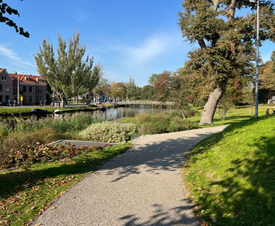 Maaike your local tourguide  wearing Dutch wooden shoes. Windmill, Tulips, Cheese, Zaanse Schans, Keukenhof, Volendam, Marken, Alkmaar.