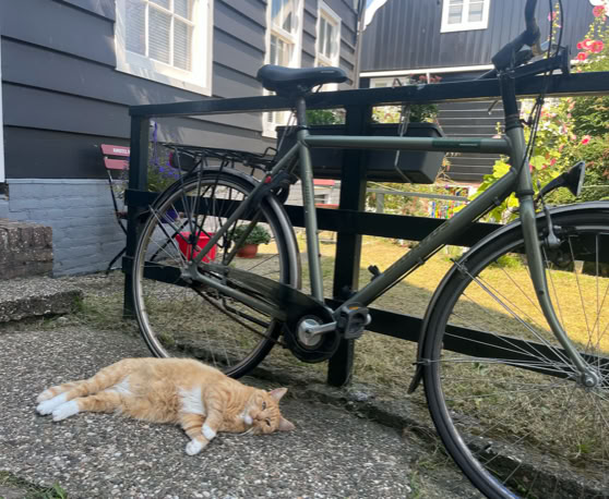 Maaike your local tourguide  wearing Dutch wooden shoes. Windmill, Tulips, Cheese, Zaanse Schans, Keukenhof, Volendam, Marken, Alkmaar.