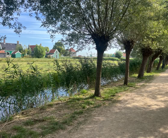Maaike your local tourguide  wearing Dutch wooden shoes. Windmill, Tulips, Cheese, Zaanse Schans, Keukenhof, Volendam, Marken, Alkmaar.